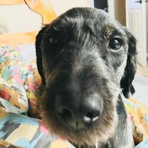 Meet your Posher, Jack